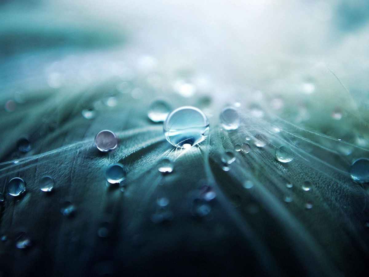 SULPHATE CONCENTRATION AND WATER&nbsp;QUALITY