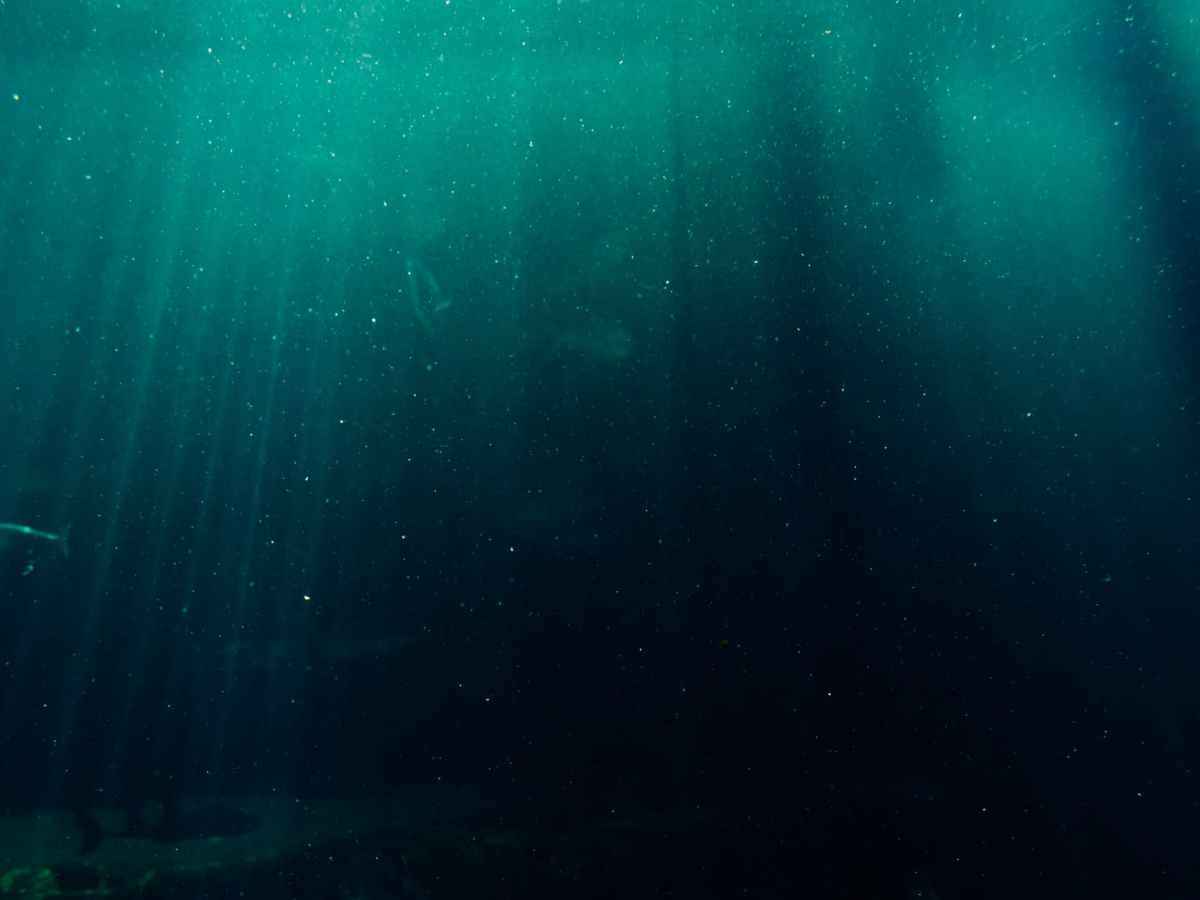 NANOTECHNOLOGY FOR WATER&nbsp;PURIFICATION